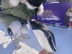 -沈阳奥体冰雪嘉年华