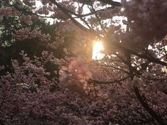 -黄桷坪涂鸦艺术街