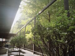 -大小咖啡 BigSmallCoffee(麦子店)