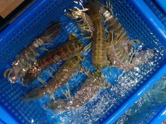 -御同亨酒楼·喜宴