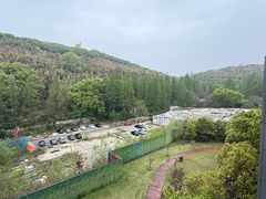 -上海佘山世茂艾美酒店