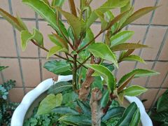 -星汇纯K量贩式KTV(卜蜂中心店)