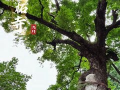 -潭柘寺景区