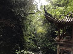 -藏龙百瀑风景区