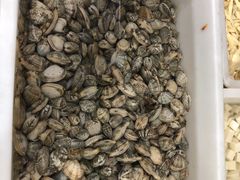 -宾朋海鲜特色美食餐厅·纯手工鲅鱼水饺(兴海路店)