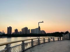 -莲花池公园