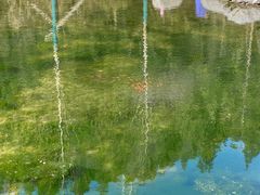 -白水寺森林公园