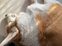 -平行世界·猫咖(首经贸店)