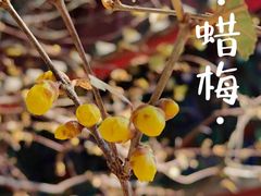 -国家植物园