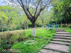 -番禺大夫山森林公园