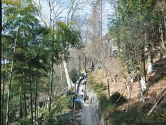 -莫干山风景区