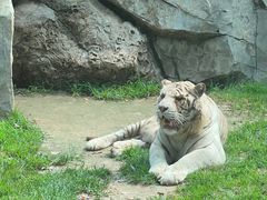 -北京野生动物园