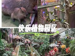 -正佳雨林生态植物园
