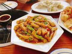 -青花瓷北方饺子城(吾悦广场店)