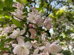 -快网网球俱乐部(徐汇爱建园店)