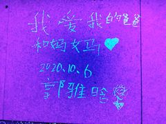 -莫子山公园