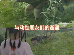 -武汉动物园
