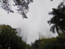-厦门海景洲际酒店·宴会厅