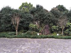 -台州府城(东湖)