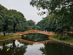 -晓港公园