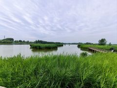 -野鸭湖国家湿地公园