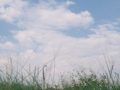 -光明小镇欢乐田园