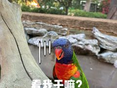 -杭州野生动物世界