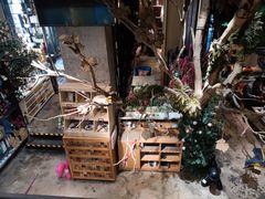 -范设计花园餐酒咖·中西餐·咖啡厅·酒馆