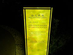 -大连金石滩绿发温泉假日酒店