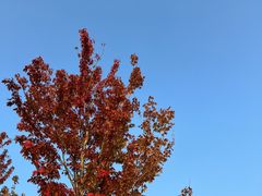 -重庆中央公园(渝北区)