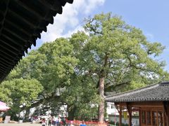 -新安江山水画廊风景区