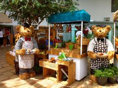 -济州岛泰迪熊博物馆