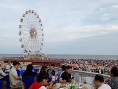 -奉贤海滩