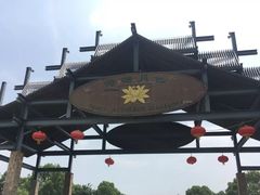 -荷塘月色湿地公园·向阳花洲