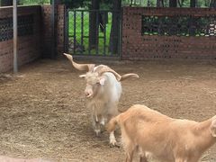 -沈阳森林动物园