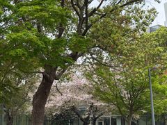 -阳澄湖费尔蒙酒店