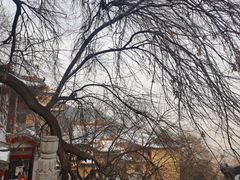 -千佛山风景名胜区