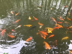 -古韵餐厅(湖畔大学店)