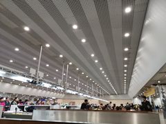 -谢列梅捷沃国际机场