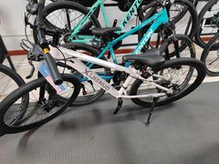 -道路口单车爱瓦士dahon大行