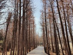 -云龙湖旅游景区