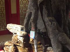 -哈老太太(联盟路店)
