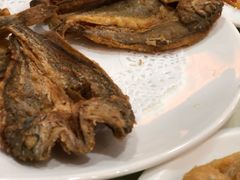 -杨记小骨头羊杂馆(南五马路店)