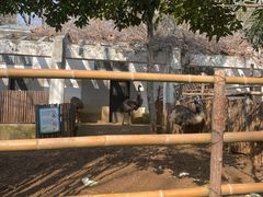 -合肥野生动物园