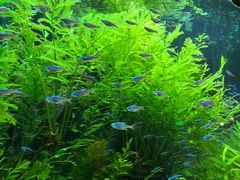 -上海海洋水族馆