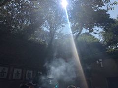 -普陀山风景区-佛顶山