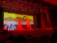 -瑞丽独树成林风景区