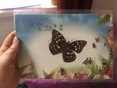 -上海昆虫博物馆