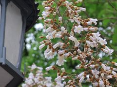 -敬亭山风景名胜区