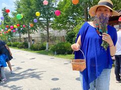 -上海菊园樱桃研究所